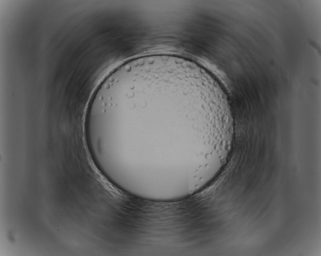 X0000097671423200803281003