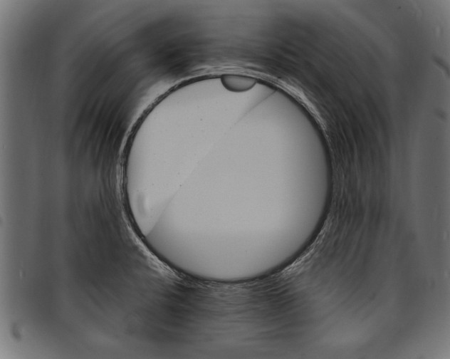 X0000097671424200803281003