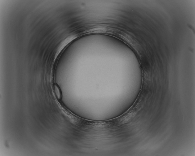 X0000097671426200803281003