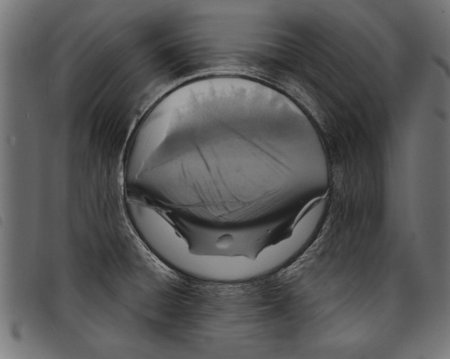 X0000097671428200803281003