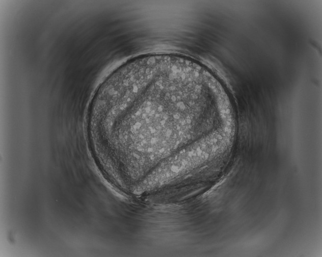 X0000097671429200803281003