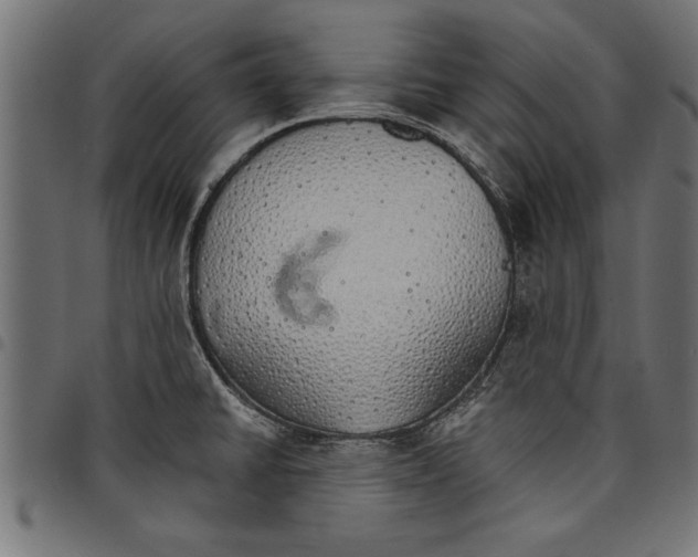 X0000097671430200803281003