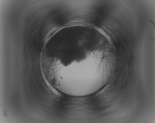 X0000097671431200803281003