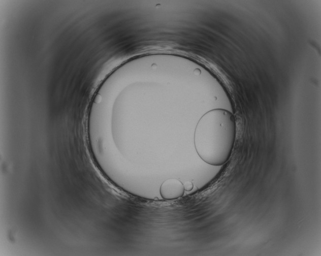 X0000097671432200803281003