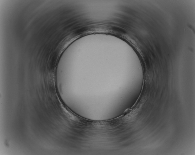 X0000097671433200803281003