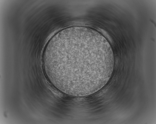X0000097671435200803281003