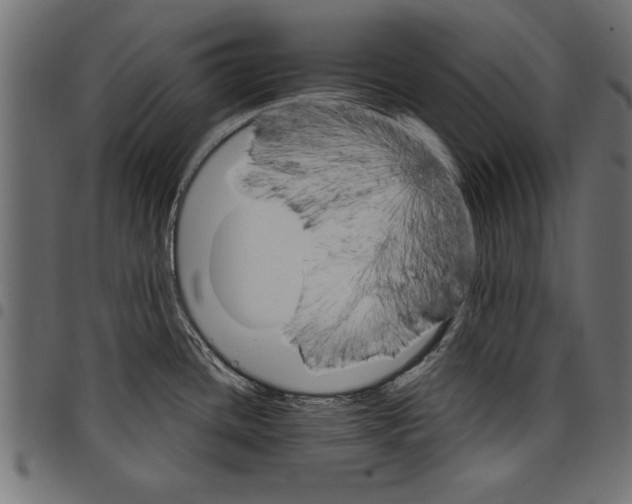 X0000097671436200803281003