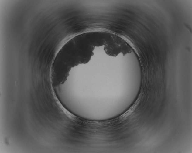 X0000097671438200803281003