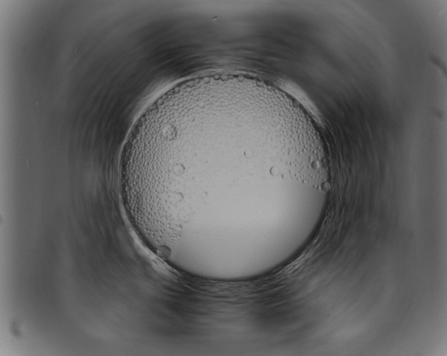 X0000097671439200803281003