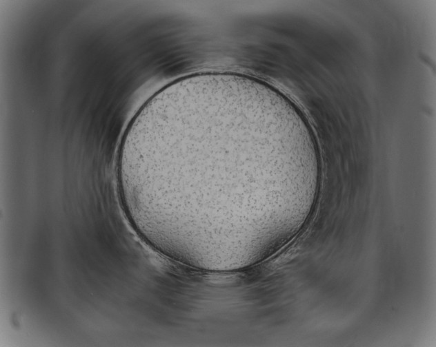 X0000097671440200803281003