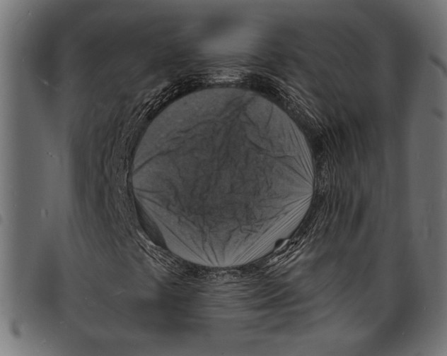 X0000097671441200803281002