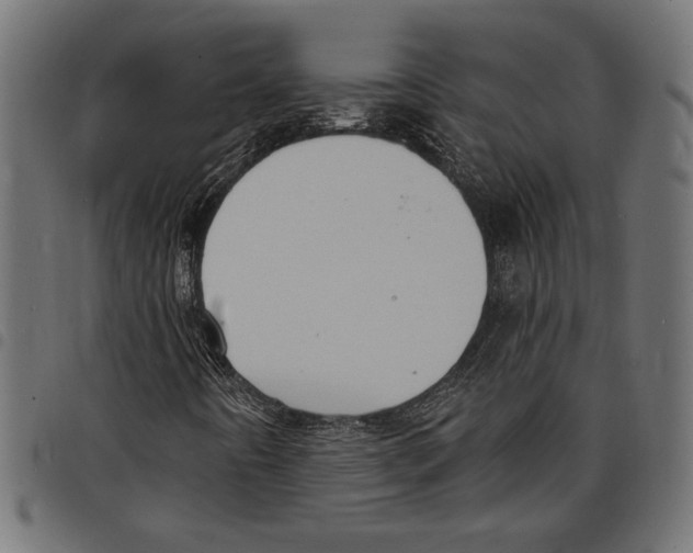 X0000097671442200803281002