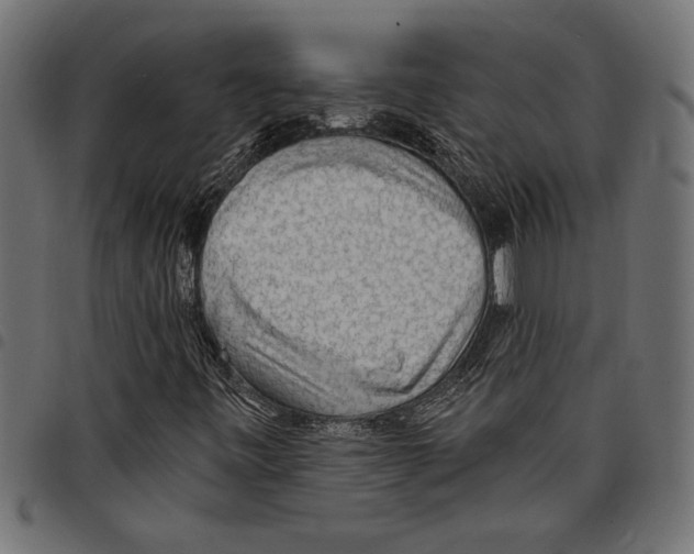 X0000097671443200803281002