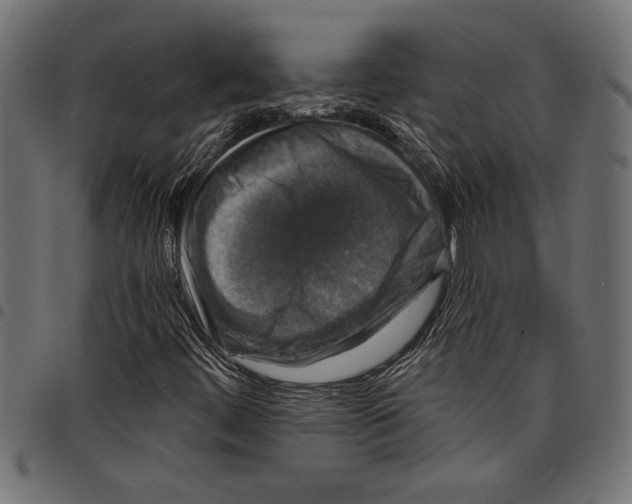 X0000097671444200803281002