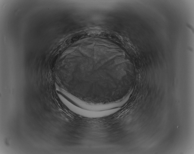 X0000097671445200803281002