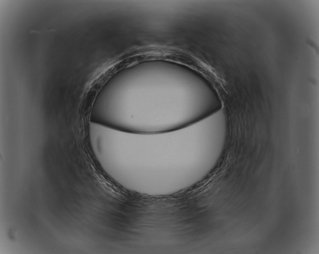 X0000097671448200803281002