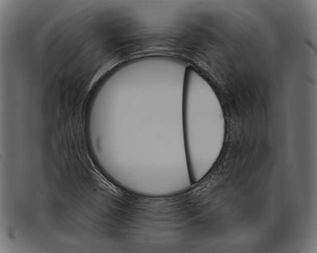 X0000097671450200803281002