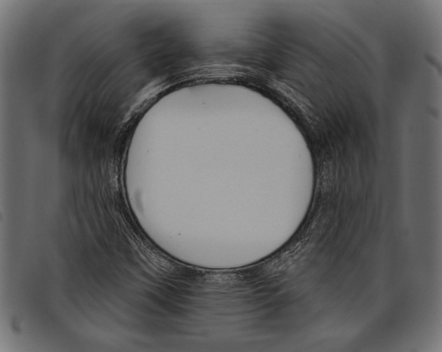 X0000097671451200803281002