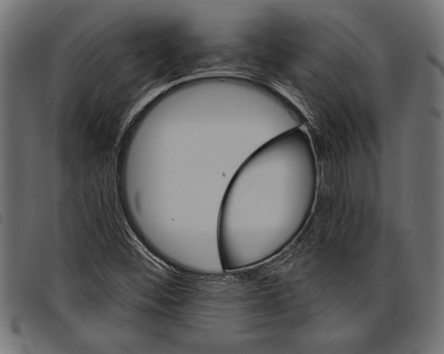 X0000097671452200803281002