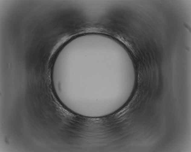X0000097671454200803281002