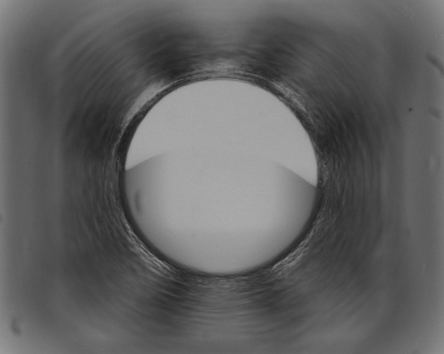 X0000097671458200803281002