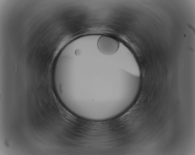 X0000097671459200803281002