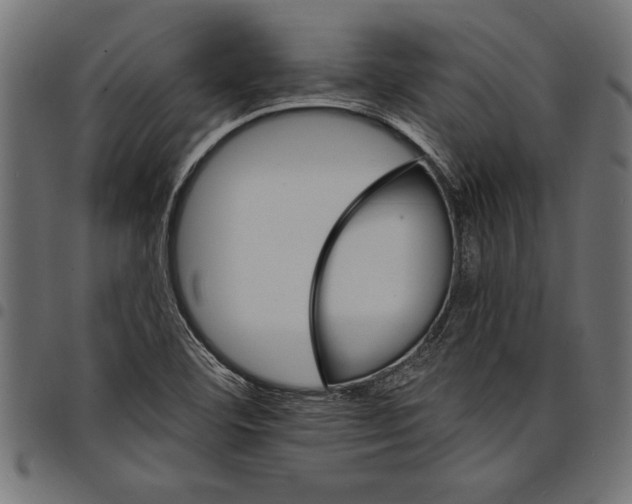 X0000097671460200803281002