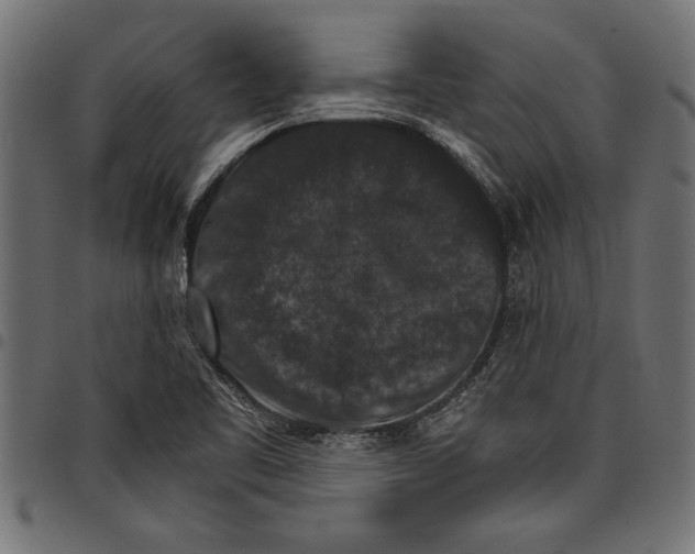 X0000097671461200803281002