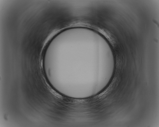 X0000097671462200803281002