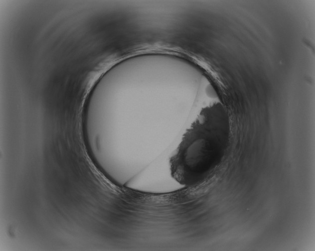 X0000097671463200803281002