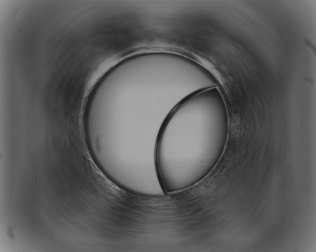 X0000097671464200803281002