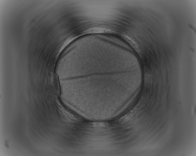 X0000097671465200803281002