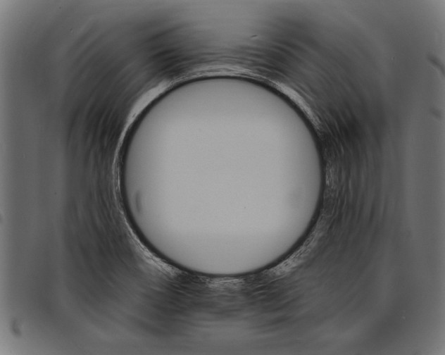 X0000097671466200803281002
