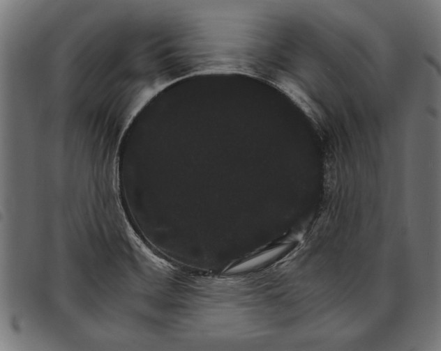 X0000097671468200803281002
