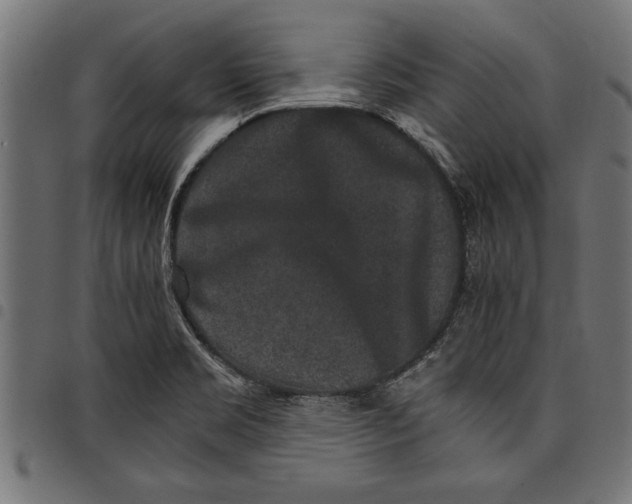 X0000097671469200803281002