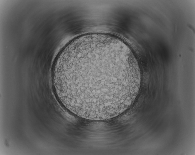 X0000097671470200803281002
