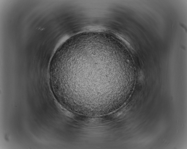X0000097671471200803281002