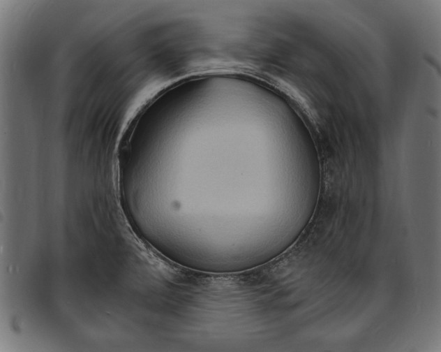 X0000097671472200803281002
