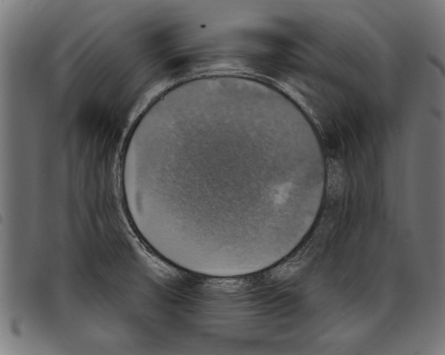 X0000097671474200803281002