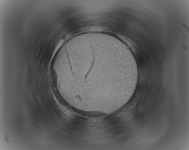 X0000097671475200803281002
