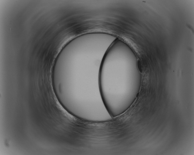 X0000097671476200803281002