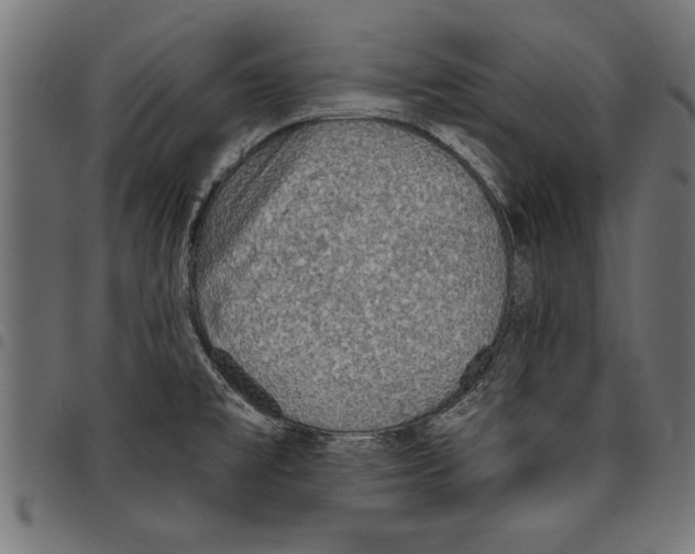X0000097671477200803281002
