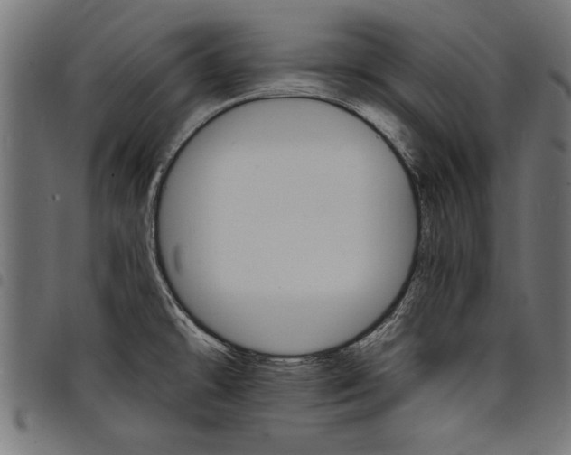 X0000097671478200803281002