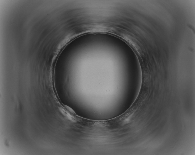 X0000097671480200803281002