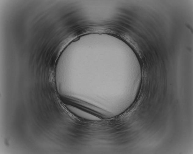 X0000097671481200803281002