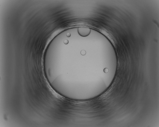 X0000097671482200803281002