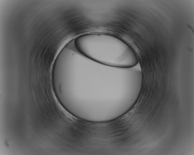 X0000097671483200803281002
