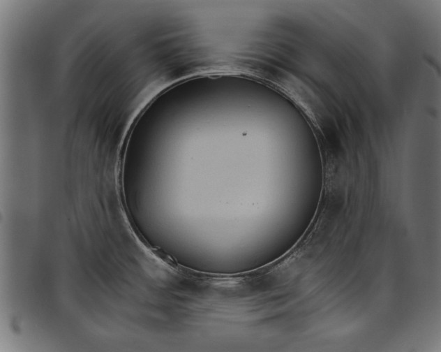 X0000097671484200803281002