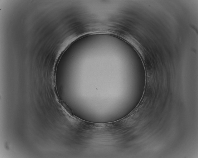 X0000097671485200803281002