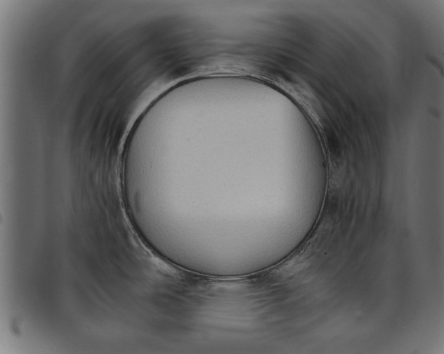 X0000097671486200803281002